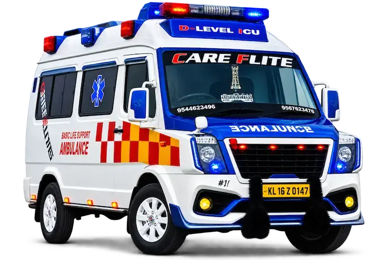 Emergency Ambulance (ALS / BLS)